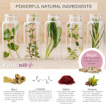 Feminil +  Complemento alimenticio para la libido femenina - Imagen 2