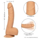 CALEXOTICS - SILICONE STUDS 20.32 CM SKIN - Imagen 2