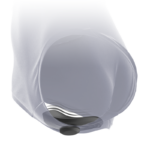 BLACKSILVER - PRESTON PANTIE MAGNÉTICO VIBRADOR SILICONA REMOTO - Imagen 5