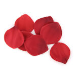 EXTASE SENSUAL - COFRE TENTACION ROJA - Imagen 4