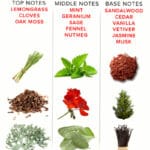 EYE OF LOVE - EOL PERFUME FEROMONAS 10 ML - ROMANTIC - Imagen 3