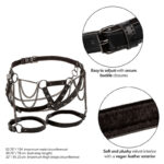 CALEXOTICS - EUPHORIA ARNÉS DE MUSLO CON CADENAS PREMIUM TALLA PLUS - Imagen 3