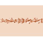 FLESHLIGHT FANTASY - LILITH FUKUMOTO VAGINA - Imagen 5