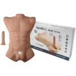 SILEXD - APOLLO L TORSO REALÍSTICO MASCULINO CARAMELO - Imagen 2