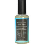 EYE OF LOVE - BLOOM SPRAY HABITACIÓN ÍNDICA BLUE EMBER 150 ML