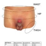 HIDDEN DESIRE - ALTER EGO BÓXER CON PENE 18 CM NATURAL TALLA S/M - Imagen 5