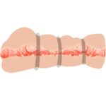 CRAZY BULL - VAGINA MASTURBADOR CON ANILLOS - Imagen 2