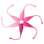 LESLIE - KEGEL FIT ENTREGADOR SUELO PELVICO 6 PESOS - Imagen 2