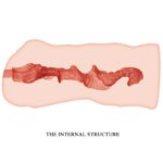 CRAZY BULL - LINDA MASTURBADOR VAGINA 13.7 CM - Imagen 3