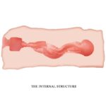 CRAZY BULL - JANE MASTURBADOR VAGINA 13.5 CM - Imagen 5