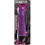 BAILE - VIBRADOR MULTIVELOCIDAD LILA - Imagen 2