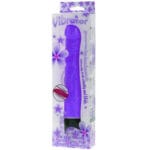 BAILE - VIBRATOR MULTISPEED 21.5 CM MORADO - Imagen 2