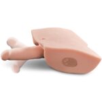 PDX MALE - INTERACTIVE FUCK HIM SILLY MASTURBATOR INTERACTIVO - Imagen 3